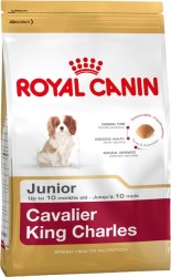 Royal Canin King Charles Yavru Köpek Maması 1,5 KG - Thumbnail