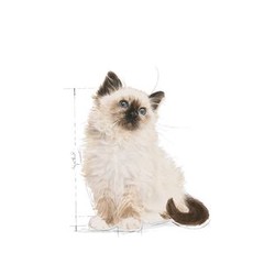 Royal Canin Kitten Gravy İnstinctive Yaş Kedi Maması 85 GR - Thumbnail