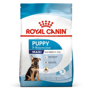 Royal Canin Maxi Junior Büyük Irk Yavru Köpek Maması 10 Kg - Thumbnail