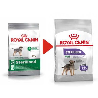 Royal Canin Mini Sterilised Kısırlaştırılmış Köpek Maması 3 Kg