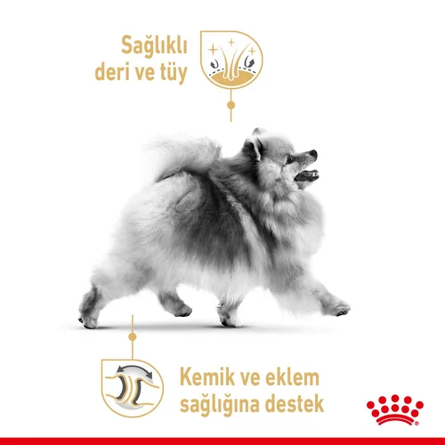 Royal Canin Pomeranian Yaş Maması 85 gr*12 Adet - Thumbnail