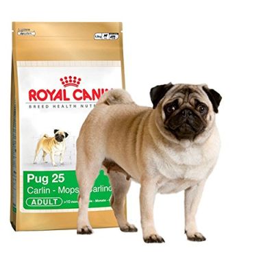 Royal Canin Pug Köpek Maması 1.5 KG