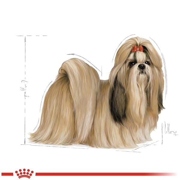 Royal Canin Shih Tzu Köpek Maması 1.5 KG