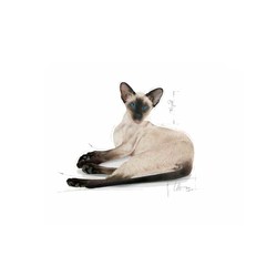Royal Canin Siyam Kedi Maması 2 KG - Thumbnail