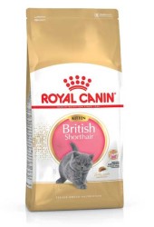 Royal Canin Yavru British Shorthair Kedi Maması 2 KG - Thumbnail