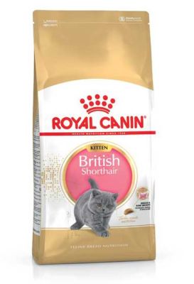 Royal Canin British Shorthair Yavru Kedi Maması 2 KG