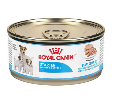 Royal Canin Starter Mousse Yavru Köpek Konservesi 195 GR