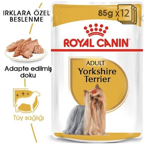Royal Canin Yorkshire Terrier Yaş Maması 85 gr x 12 Adet - Thumbnail