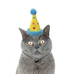 Markamama Parti Şapkası Kedi Oyuncağı Mavi - Thumbnail