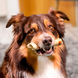 SmartBones Tavuklu Medium Köpek Ödül Kemiği 2 Adet 128 Gr - Thumbnail