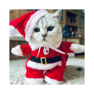 Tigres Jesty Eğlenceli Noel Baba Şeklinde Kedi Kıyafeti - Thumbnail