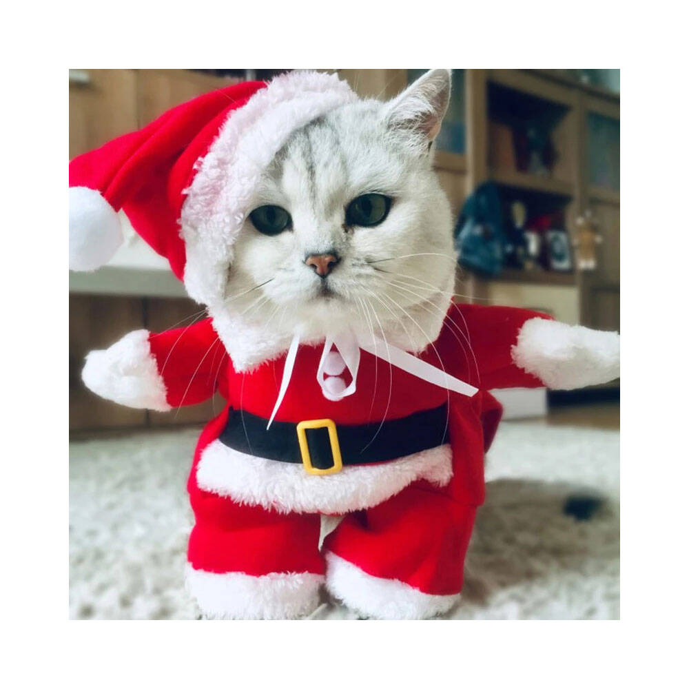 Tigres Jesty Eğlenceli Noel Baba Şeklinde Kedi Kıyafeti