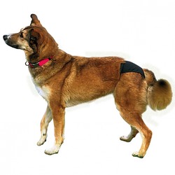 Trixie Hijyenik Köpek Külodu XL 60–70 cm, Siyah - Thumbnail
