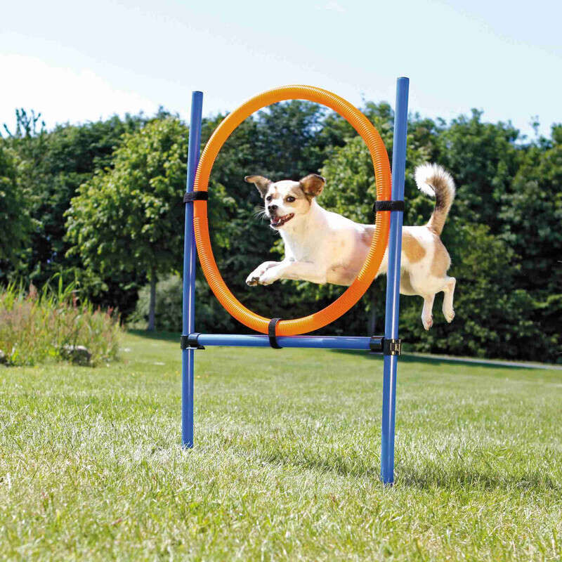 Trixie Köpek Agility Eğitim Çemberi 115×3cm,65C