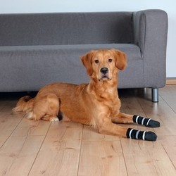 Trixie Köpek Çorabı, Kaymaz L–XL, 2 Adet - Thumbnail