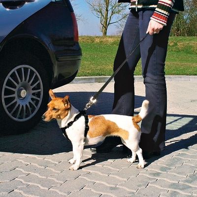 Trixie Köpek Emniyet Kemeri S 30-60cm