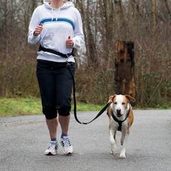 Trixie Köpek Koşu Yürüyüş Bel Kemeri Ve Kayışı - Thumbnail