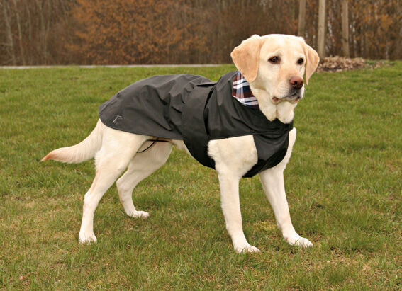 Trixie Köpek Paltosu Ve Yağmurluğu M 45cm Siyah