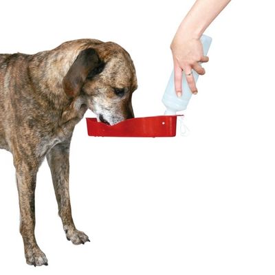 Trixie Köpek Seyahat Su Şişesi , 500ml