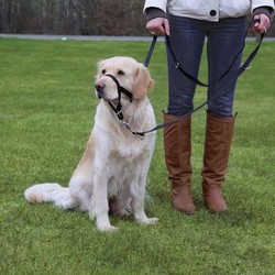 Trixie Uzman Köpek Eğitim Tasması L 31cm - Thumbnail