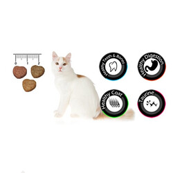 VanCat Multi Color Renkli Yetişkin Kedi Maması 15 KG - Thumbnail